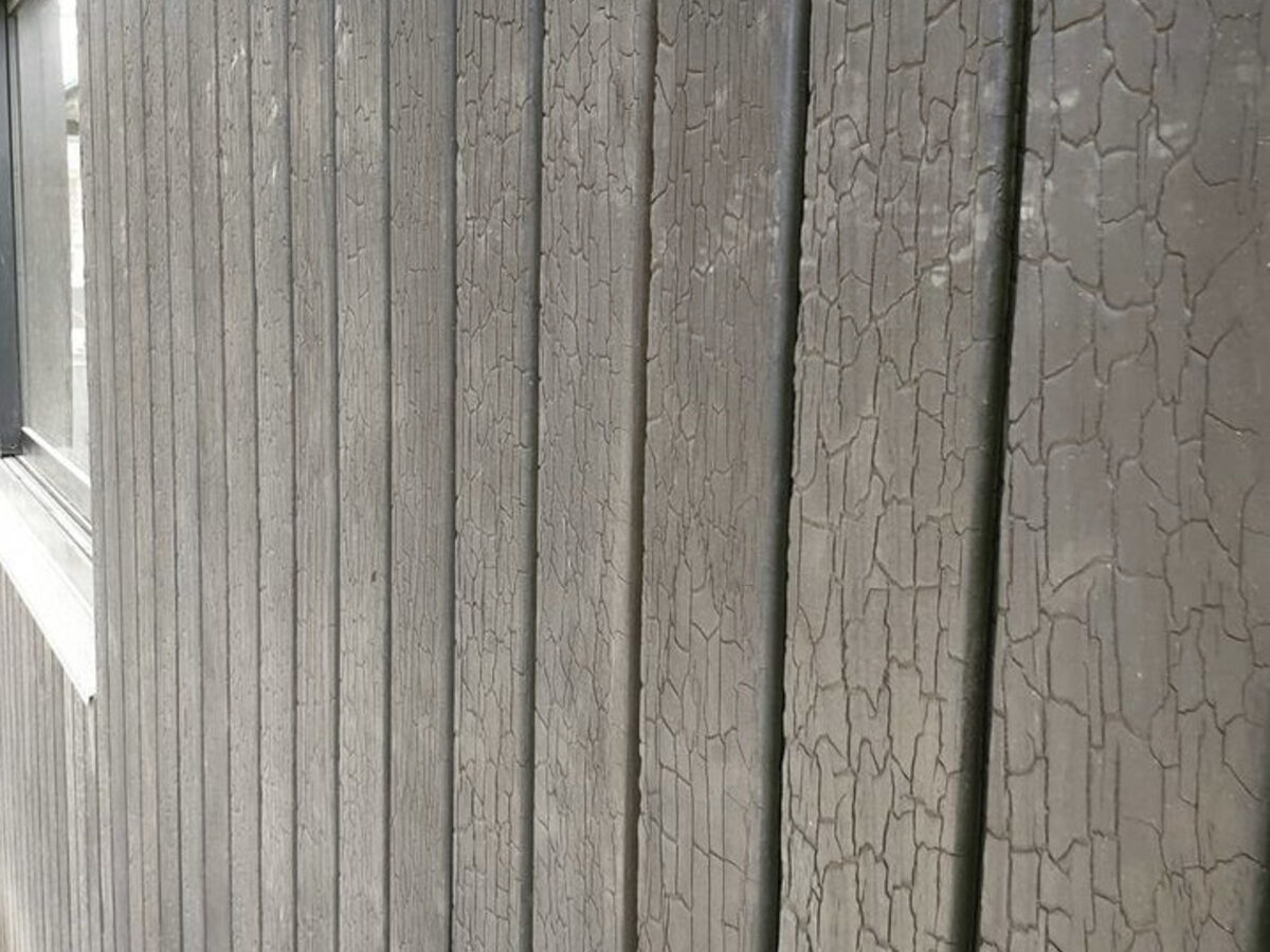 Architectural black weatherboard cladding with timber ceiling